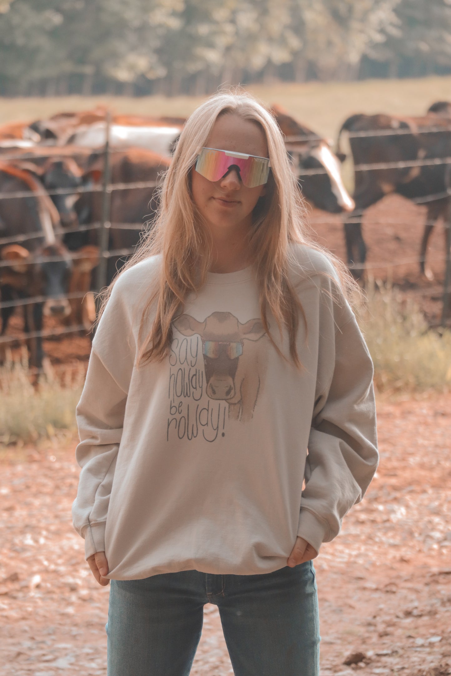 Say Howdy Crewneck
